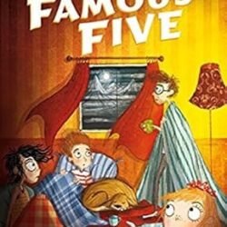 Famous Five 17 : Five Get Into A Fix