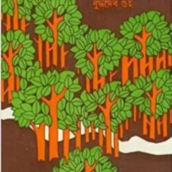 Mohul Sukhar Chithi (মহুল সুখার চিঠি) by Buddhadeb Guha