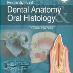 Essentials Of Dental Anatomy Oral Histology
