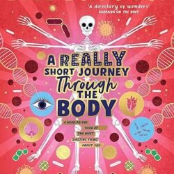A Really Short Journey Through The Body