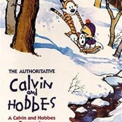 Authoritative Calvin And Hobbes