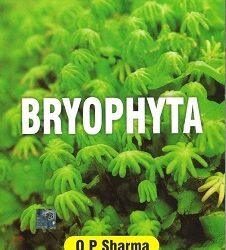 Bryophyta
