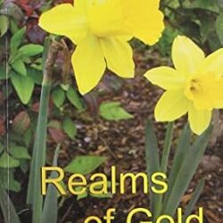 Realms Of Gold