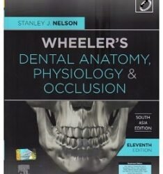 Wheelers Dental Anatomy, Physiology and Occlusion