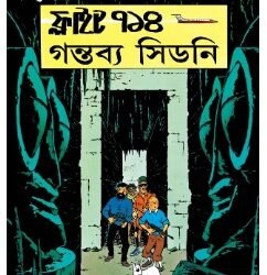 Tintin : Flight 714