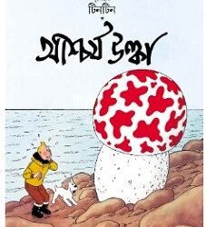 Tintin : Ashcharja Ulka