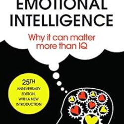 Emotional Intelligence : Why It Can Matter More Than IQ