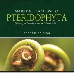 An Introduction to Pteridophyta