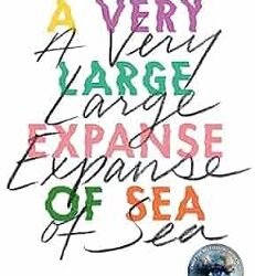 A Very Large Expanse of Sea