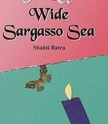 Wide Sargasso Sea : Jean Rhys