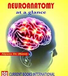 Neuroanatomy