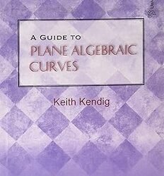 A Guide to Plane Algebraic Curves