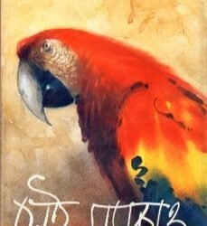 Seai Macaw