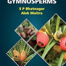 Gymnosperms