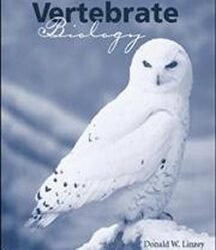 Vertebrate Biology