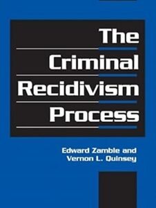 The Criminal Recidivism Process (Cambridge Studies in Criminology)
