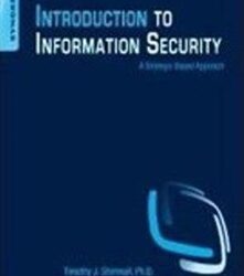 Introduction to Information Security : A Strategic-Based Approach
