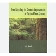 Tree Breeding for Genetic Improvement of Tropical Tree Species