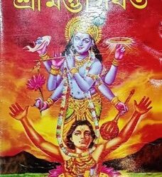 Srimad Bhagavat  Complete Abridged in Prose