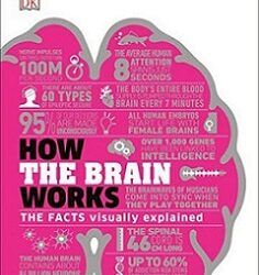 How the Brain Works