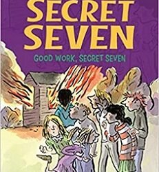Secret Seven 6 : Good Work Secret Seven