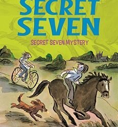 Secret Seven 9 : Secret Seven Mystery