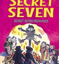 Secret Seven 11 : Secret Seven Fireworks
