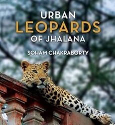 Urban Leopards of Jhalana