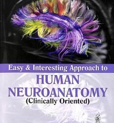 Easy & Interesting Approach To Human Neuroanatomy (Clinical Oriented)