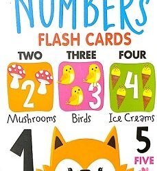 Numbers 30 Flash Cards Box
