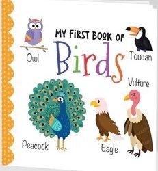 My First Book Birds