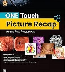 One Touch Picture Recap