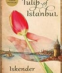 Tulip Of Istanbul