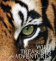 Wild Treasures and Adventures