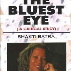 The Bluest Eye: A Critical Study