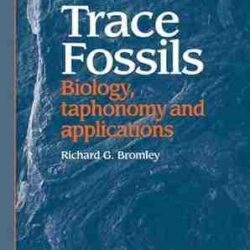 Trace Fossils