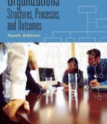Organizations Structures, Processes, And Outcomes