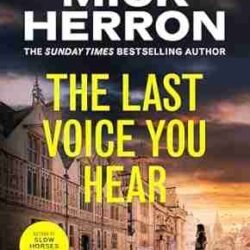 The Last Voice You Hear (Zoe Boehm Thriller 2)