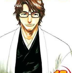 Bleach 12