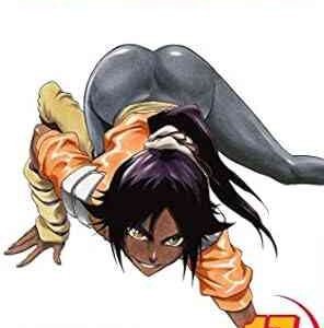 Bleach 17