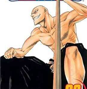 Bleach 23
