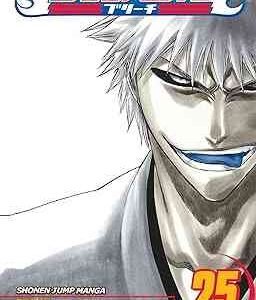 Bleach 25