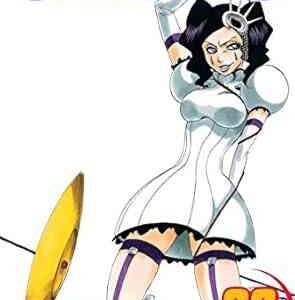 Bleach 29
