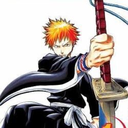 Bleach 01