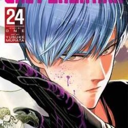 One-Punch Man 24