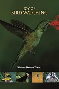 Joy of Bird Watching