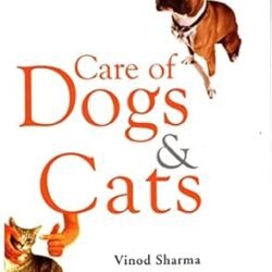 Care Of Dogs & Cats