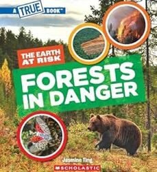 Forests In Danger