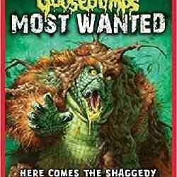 Here Comes The Shaggedy