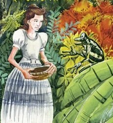 Europer Rupkatha (ইউরোপের রূপকথা)